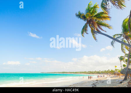 Palmen am Sandstrand. Küste des Atlantischen Ozeans, Dominikanische Republik, Punta Cana Stockfoto