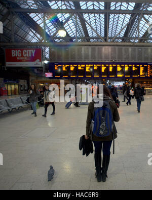 Backpacker mit Taube in Großstadt Glasgow central train Station telefonieren suchen Ankünfte board Stockfoto