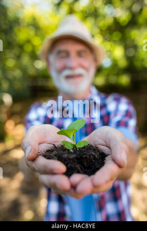 Senior woman Ernte in den Händen hält Stockfoto