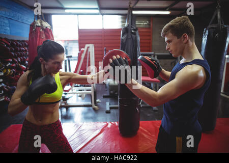 Boxer mit Schwerpunkt Handschuhe während des Trainings Stockfoto