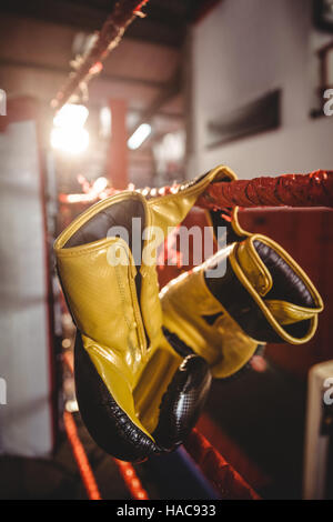 Gelbe Boxhandschuhe hängen an den Boxring Stockfoto