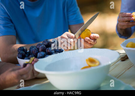 Ältere Ehepaare, die Samen der Aprikose Früchte im Garten entfernen Stockfoto