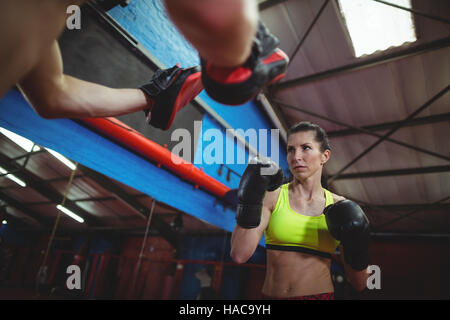 Boxer mit Schwerpunkt Handschuhe während des Trainings Stockfoto