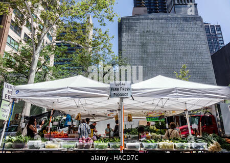 New York City, NY NYC Manhattan, Midtown, Turtle Bay, Dag Hammarskjold Plaza Greenmarket, Zelt, Verkäufer Verkäufer verkaufen Verkauf, Stände Stand Stand Markt Stockfoto