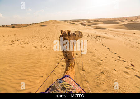 Kamelreiter Blick in Thar-Wüste, Rajasthan, Indien Stockfoto