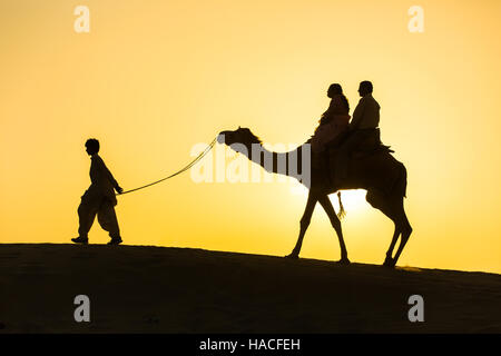 Rajasthan Reisen Hintergrund - Kamel Silhouette in Dünen der Wüste Thar im Sonnenuntergang. Jaisalmer, Rajasthan, Indien Stockfoto