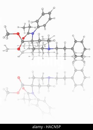 Carfentanil. Molekulares Modell des schmerzstillenden Medikament Carfentanil (C24. H30. N2. O3). Dies ist ein extrem starkes Analogon des die synthetisches opioid Analgetikum Fentanyl. Es ist ist 10 000 Mal wirksamer als Morphin, und als solche nur bei großen Tieren und nicht Menschen. Atome als Kugeln dargestellt werden und sind farblich gekennzeichnet: Kohlenstoff (grau), Wasserstoff (weiß), Stickstoff (blau) und Sauerstoff (rot). Abbildung. Stockfoto