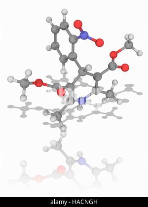 Nifedipin. Molekulares Modell des Medikament Nifedipin (C17. H18. N2. O6), einem Dihydropyridine Kalzium-Kanal Blocker zur Behandlung von Angina pectoris und Hypertonie (Bluthochdruck). Atome als Kugeln dargestellt werden und sind farblich gekennzeichnet: Kohlenstoff (grau), Wasserstoff (weiß), Stickstoff (blau) und Sauerstoff (rot). Abbildung. Stockfoto