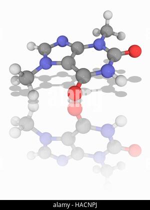 Theobromin. Molekülmodell bittere Alkaloid chemische Theobromin (C7. H8. N4. O2), gefunden in der Kakao-Pflanze und Produkte aus Pflanzen wie Kakao und Schokolade. Atome als Kugeln dargestellt werden und sind farblich gekennzeichnet: Kohlenstoff (grau), Wasserstoff (weiß), Stickstoff (blau) und Sauerstoff (rot). Abbildung. Stockfoto