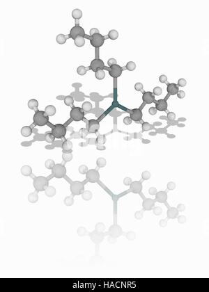 Tributyltin Hydride. Molekulares Modell des Zinn-haltige organische Verbindung Tributyltin Hydride (Sn.C12.H28). Diese farblose Flüssigkeit ist als Quelle von Wasserstoff-Atomen in der organischen Synthese verwendet. Atome als Kugeln dargestellt werden und sind farblich gekennzeichnet: Zinn (dunkelgrün), Kohlenstoff (grau) und Wasserstoff (weiß). Abbildung. Stockfoto