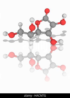 Vitamin C. molekulare Modell der Ascorbinsäure (C6. H8. O6), auch bekannt als Vitamin c. Dieses Vitamin ist erforderlich, um den Körper vor oxidativem Stress zu schützen. Atome als Kugeln dargestellt werden und sind farblich gekennzeichnet: Kohlenstoff (grau), Wasserstoff (weiß) und Sauerstoff (rot). Abbildung. Stockfoto