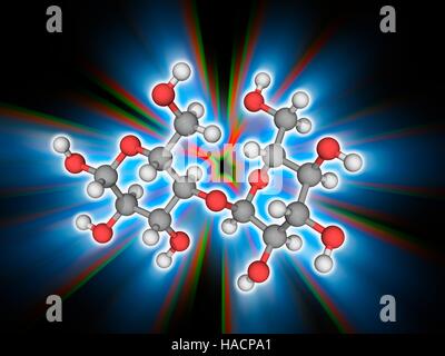 Maltose. Molekülmodell Disaccharid Zucker Maltose (C12. H22. E11), gebildet aus zwei Einheiten der Zucker Glucose. Maltose ist halb so süß wie die Glukose. Atome als Kugeln dargestellt werden und sind farblich gekennzeichnet: Kohlenstoff (grau), Wasserstoff (weiß) und Sauerstoff (rot). Abbildung. Stockfoto