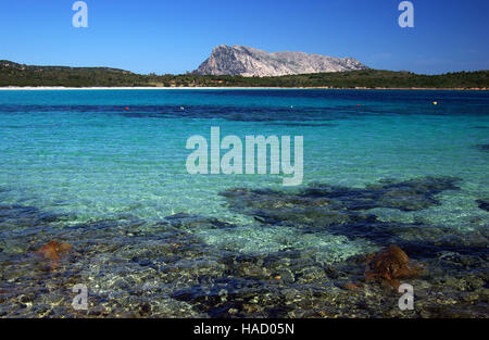 San Teodoro, Sardinien. Strand Cala Brandinchi Stockfoto