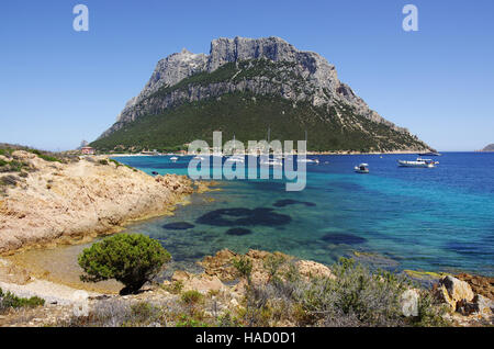 Tavolara Insel, Sardinien Stockfoto