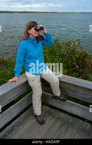 Aussichtsplattform am Osprey Punkt, Trustom Teich National Wildlife Refuge, Rhode Island Stockfoto