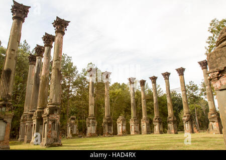 Details der Architektur in den nationalen historischen Ort Windsor-Ruinen in Mississippi. Stockfoto