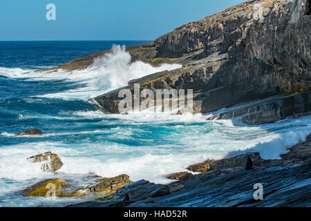 Blick vom Admirals Arch, Kangaroo Island, South Australia, Australien Stockfoto