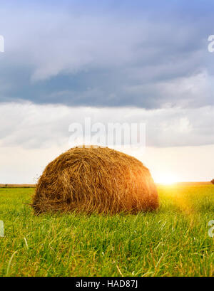 Stapel auf dem Gebiet Stockfoto