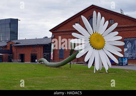 Gänseblümchen. Eine 25-Meter-Daisy Blume zurücklegt auf dem Rasen in der Nähe des Flusses Aura, Turku, Finnland. Künstler: Jani Rättyä & Antti Stöckell. Stockfoto