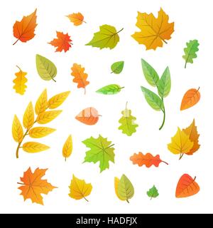Große Reihe von niedlichen Blätter von verschiedenen Arten von Bäumen, die isoliert auf weiss Stock Vektor
