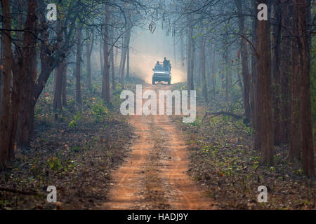 Off-Road-Fahrzeug auf eine Staub-Straße durch das Holz, Tadoba Andhari Tigerreservation, Maharashtra, Indien Stockfoto