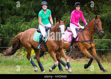 Holsteiner Pferde und irischen Sportpferd. Zwei Reiter im Galopp während ein cross-country Ritt. Deutschland Stockfoto