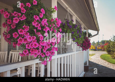Blumen hängen auf der Veranda. Haus von weißer Farbe. Duft von frischen Petunien. Immobilien außerhalb der Stadt. Stockfoto