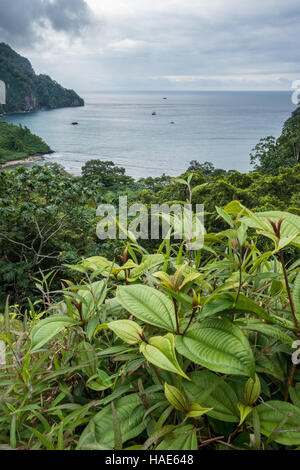 Blick über Wafer Bay Cocos Island Stockfoto