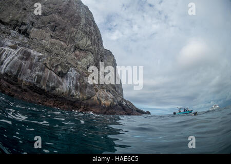 Malpelo Insel Kolumbien Stockfoto