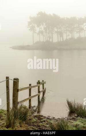 Nebliger Kulissen Knapps Loch Ness Kilmacolm mit Frost und Eis angefangen Stockfoto