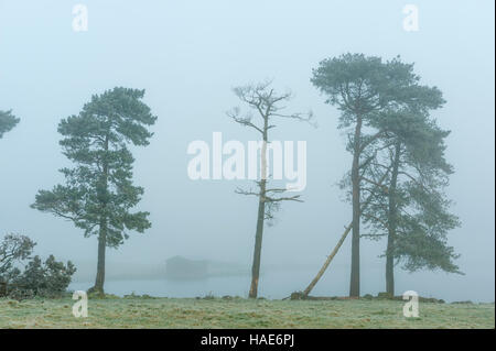 Nebliger Kulissen Knapps Loch Ness Kilmacolm mit Frost und Eis angefangen Stockfoto