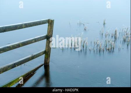 Nebliger Kulissen Knapps Loch Ness Kilmacolm mit Frost und Eis angefangen Stockfoto