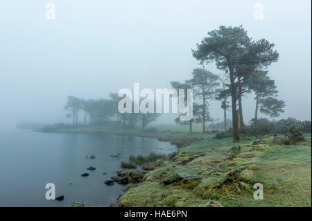 Nebliger Kulissen Knapps Loch Ness Kilmacolm mit Frost und Eis angefangen Stockfoto