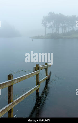 Nebliger Kulissen Knapps Loch Ness Kilmacolm mit Frost und Eis angefangen Stockfoto