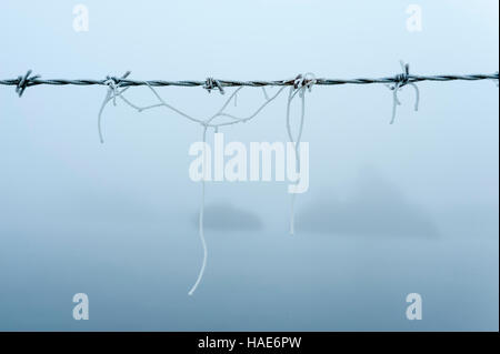 Nebliger Kulissen Knapps Loch Ness Kilmacolm mit Frost und Eis angefangen mit icey Stacheldraht im Vordergrund. Stockfoto