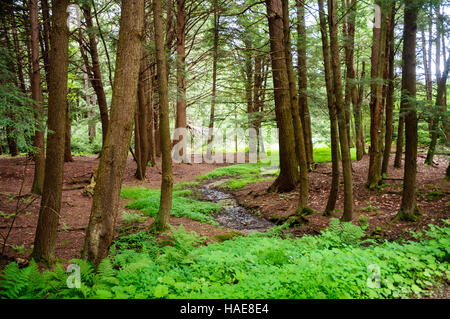 Chapman State Park Stockfoto