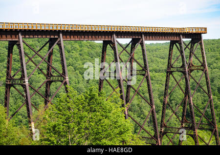 Kinzua Brücke State Park Stockfoto