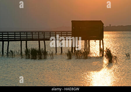 Naturoase La Valle in der Abenddämmerung, Trasimeno-See, im Hintergrund Isola Polvese Magione, Umbrien, Italien Stockfoto