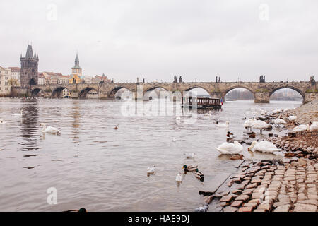 Moldau und Karlsbrücke, Prag Stockfoto