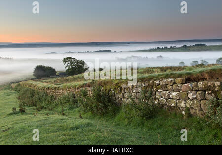 Schön tief liegenden Nebel im Morgengrauen, südwestlich Richtung South Tyne Tal aus Stahl Rigg, Hadrianswall Stockfoto