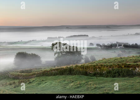 Schön tief liegenden Nebel im Morgengrauen, südwestlich Richtung South Tyne Tal aus Stahl Rigg, Hadrianswall Stockfoto