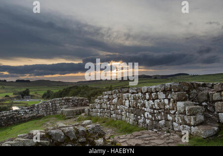 Milecastle 42 bei Dämmerung, Cawfield, Hadrianswall, Northumberland, England - Blick nach Westen Stockfoto