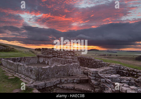 Römisches Kastell Housesteads, Hadrians Wall - bleibt ein Teil der Latrinen, gesehen in der Morgendämmerung mit einem spektakulären Sonnenaufgang Stockfoto