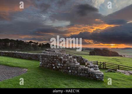 Römisches Kastell Housesteads, bleibt das Osttor, Nordturm in der Morgendämmerung mit tiefliegenden Nebel im Hintergrund zu sehen Stockfoto