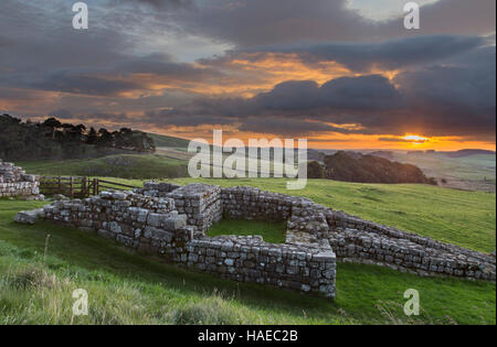 Römisches Kastell Housesteads, bleibt das Osttor, Südturm gesehen in der Morgendämmerung mit tiefliegenden Nebel im Hintergrund Stockfoto