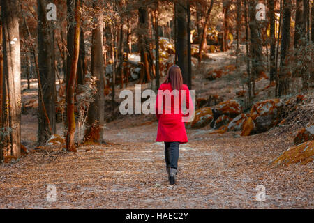 Junge Frau zu Fuß entfernt allein auf einem Waldweg, tragen einen roten Mantel Stockfoto