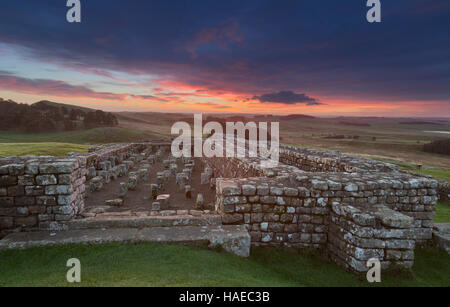 Die Überreste der Getreidespeicher, gesehen in der Morgendämmerung an römischen Kastells Housesteads, Hadrianswall, Northumberland, England Stockfoto