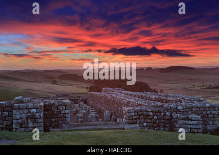 Die Überreste der Getreidespeicher, gesehen in der Morgendämmerung an römischen Kastells Housesteads, Hadrianswall, Northumberland, England Stockfoto