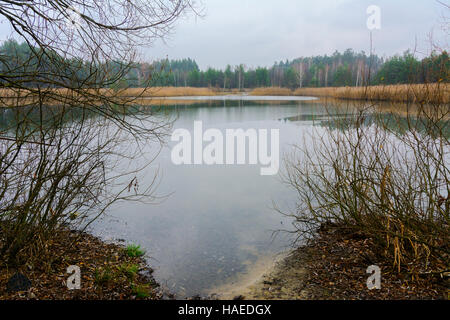 Ein kleiner See in der Nähe der privaten Holzhaus Stockfoto