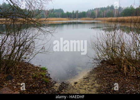 Ein kleiner See in der Nähe der privaten Holzhaus Stockfoto